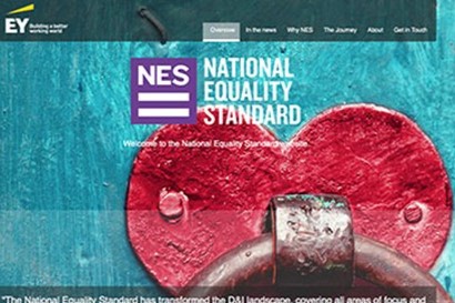 UK National Equality Standard