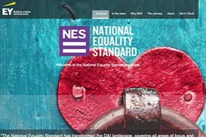 UK National Equality Standard