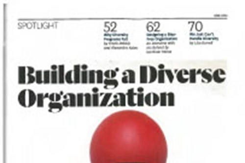 Building a Diverse Organisation 2016