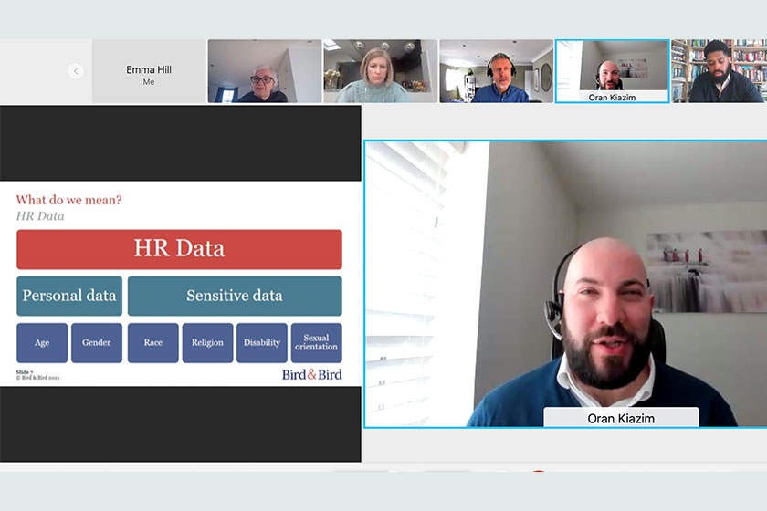 Screenshot of Staff Diversity & Data webinar